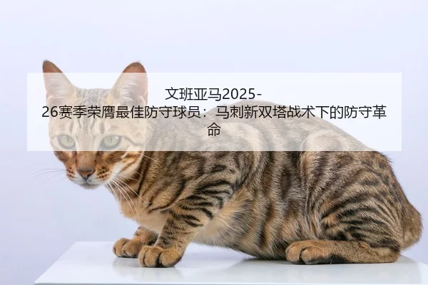 wen-ban-ya-ma-sai-ji-rong-ying-zui-jia-fang-shou-qiu-yuan-ma-ci-xin-shuang-ta-zhan-shu-xia-de-fang-shou-ge-ming-2-963.jpg