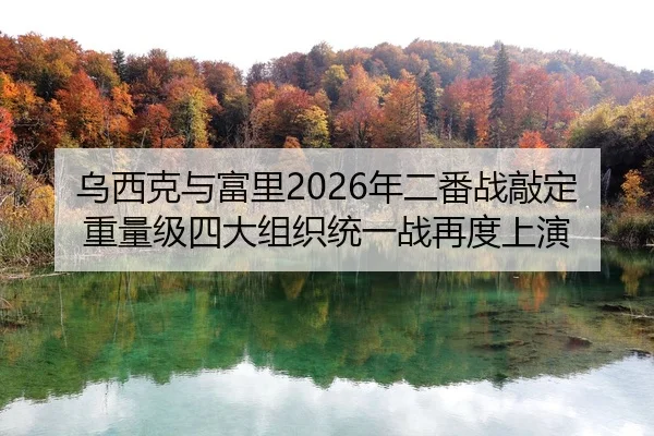 乌西克与富里2026年二番战敲定重量级四大组织统一战再度上演